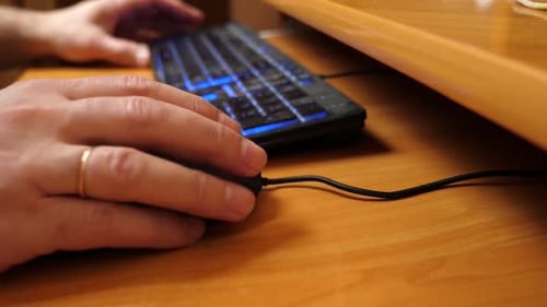 33e. A person works at a computer using a mouse and keyboard. Slow motion.