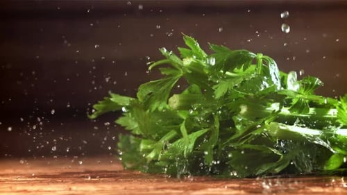 Water Droplets on Fresh Celery Bunch