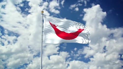 Easter Island Rapa Nui Realistic Waving 4k