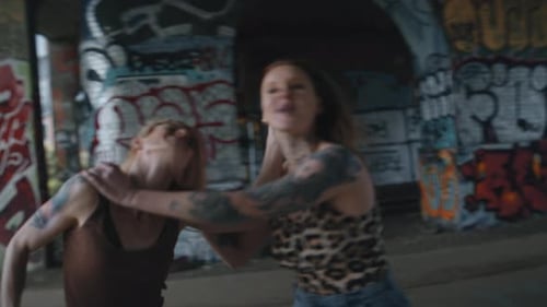 Women In Intense Argument Turn Physical With Hair Pulling