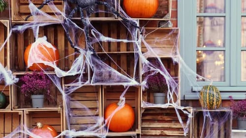 Halloween Decorations with Pumpkins and Spiderwebs