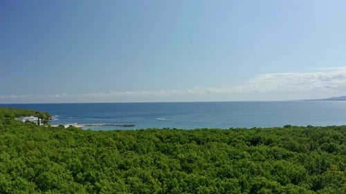 Aerial view of green landscape with sandy beach and Black Sea during sunny day with blue sky, Bulgar