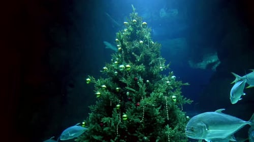 Festive Christmas Tree Underwater with Fish and Sharks