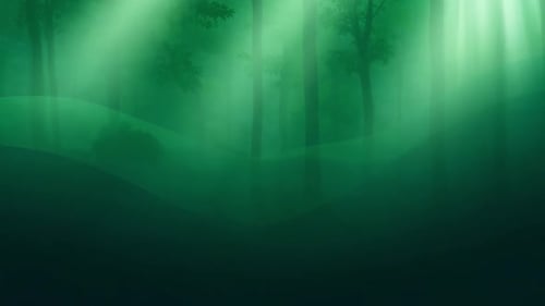Forest Atmosphere Colors