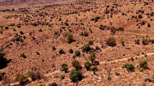 4x4 Vehicle off-roading on a rugged, remote trail, navigating challenging terrain and wild landscape