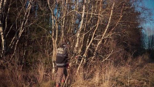 A Man is Employing a Chainsaw to Trim a Branch From a Tree - Static Shot
