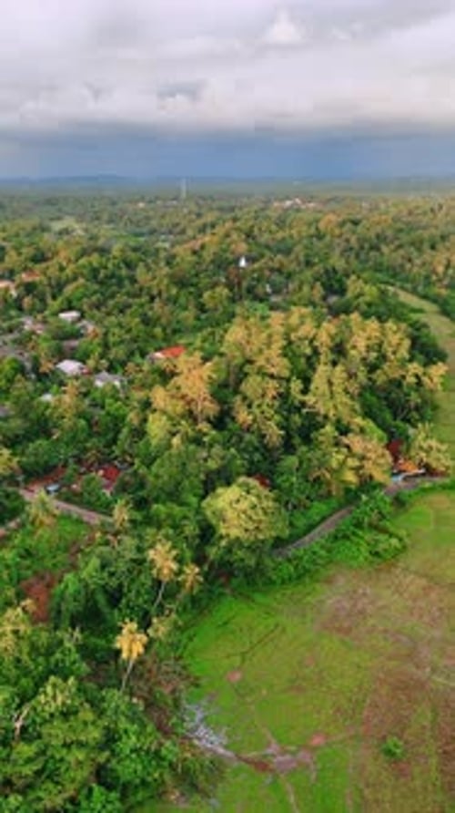 Flight above the inhabited area with lush tropical forests.