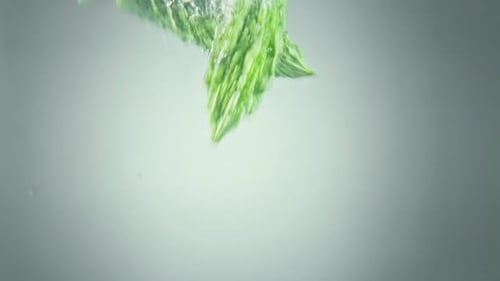 La courge amère tombe dans l'eau.