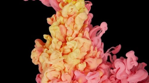 Mesmerizing Abstract Red and Yellow Paints Mixing and Stirring Together on Black