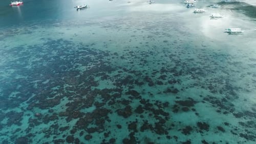 Aerial Drone View of Boats Anchored in the Bay with Clear and Turquoise Water Boat and Yacht in the