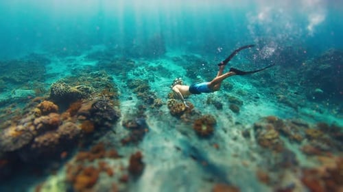 Apneísta en el arrecife Un apneísta macho joven en forma nada bajo el agua sobre el sano arrecife de coral cerca del
