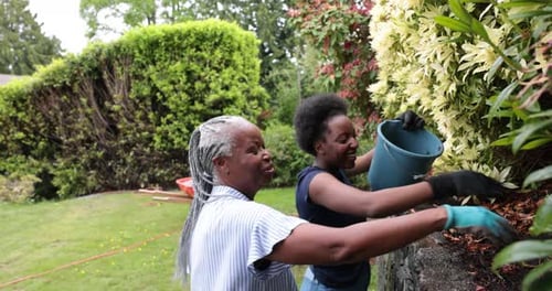 Two women work in backyard garden together daytime