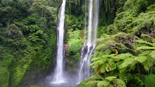Drone View of Sekumpul Waterfall Surrounded By Tropical Jungle in Bali Indonesia
