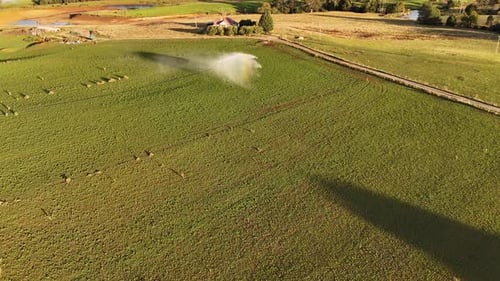 Sprinkler irrigating fields at sunset. Aerial view and slow-motion