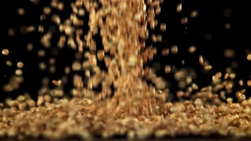 Golden Grains Pouring Down on a Black Background
