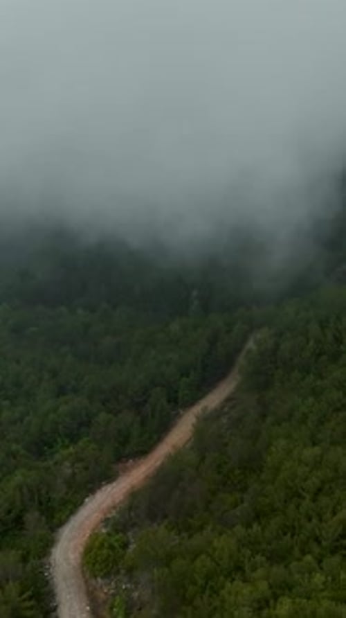 Vertical Video Aerial Journey Into the Mystical Pathway Enchanting Forest in CloudCovered