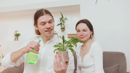 Couple Waters a Plant Together in Their Cozy Living Room During a Sunny Afternoon at Home