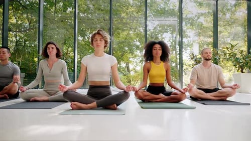 Group of Friends Doing Yoga Practice in Fitness Studio