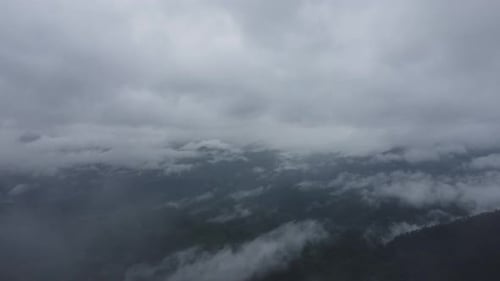 Aerial view of the trees in the valley with fog in the morning.