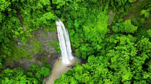 A top view of a waterfall nestled within a dense forest, showcasing the stunning flow of water