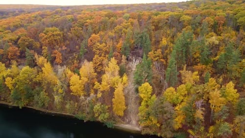 Autumn aerial above river with colorful riverbank