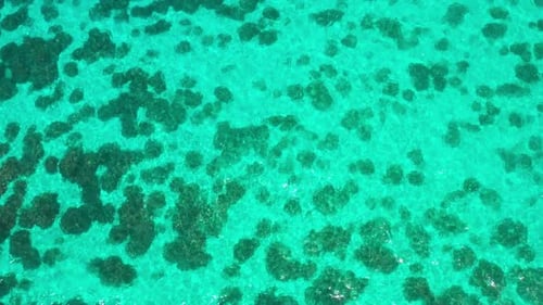 Vista aérea superior do recife de coral no mar tropical com água turquesa nas Maldivas