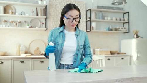Woman Cleaning Kitchen Countertop with Spray and Cloth