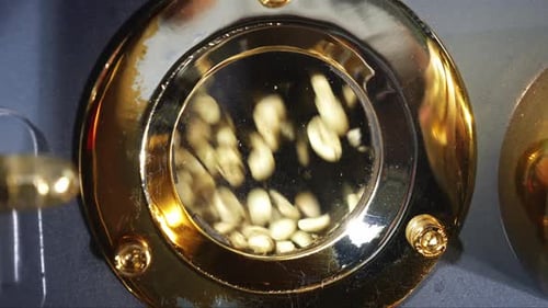 Coffee Beans in Roaster