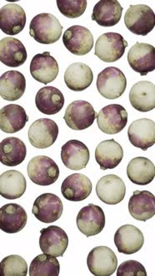 Falling Fresh Turnips on White Background Slow Motion