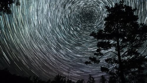 Mesmerizing Star Trails Time-Lapse with Forest Silhouette