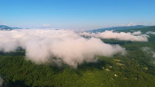 Humid Forest in Summer Foggy Mountains Beautiful Nature in Rainy Season