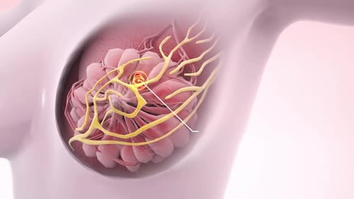 Breast Scanning Interface. HUD woman breast analyze
