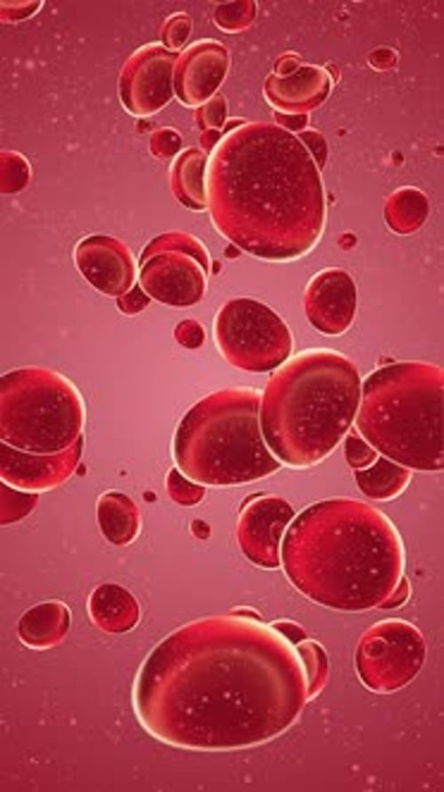 Vertical Video - Flowing Red Blood Cells Medical Motion Background