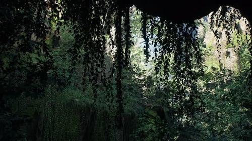 Tranquil Beauty Of A Sunlit Forest