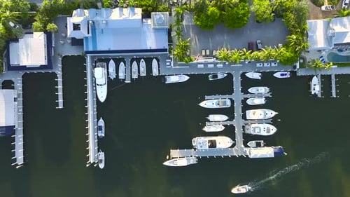 Aerial View of Small Harbor with Motorboats and Yachts Docked at Piers in Tropical American Coastal
