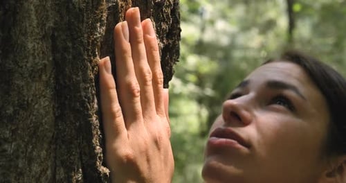 Beautiful brunette girl, tree with bark, human hand touches tree, long branches, green leaves. Con