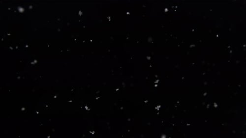 Schneestober in Zeitlupe in einer pechschwarzen Januarnacht
