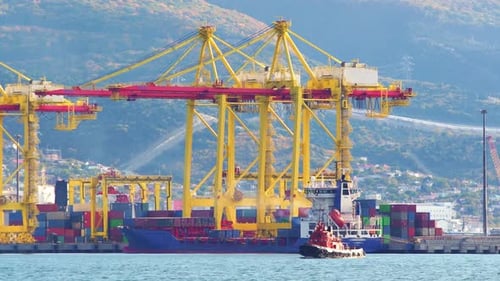 Working crane bridge lifting container cargo to freight ship