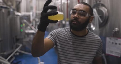Male Brewer Inspecting Beer at Fermentation Tanks in Brewery 10 Seconds or Greater