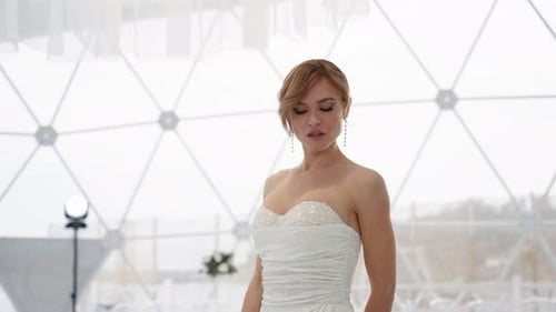Woman Posing in Sparkling Wedding Gown