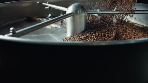 Coffee Beans Pouring into Roasting Machine