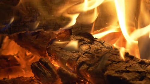 Glowing Embers At Burning Woods On A Campfire. Close Up