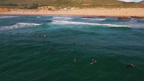 Surfers with Surfboards in Sea During Summer Vacation at Beach