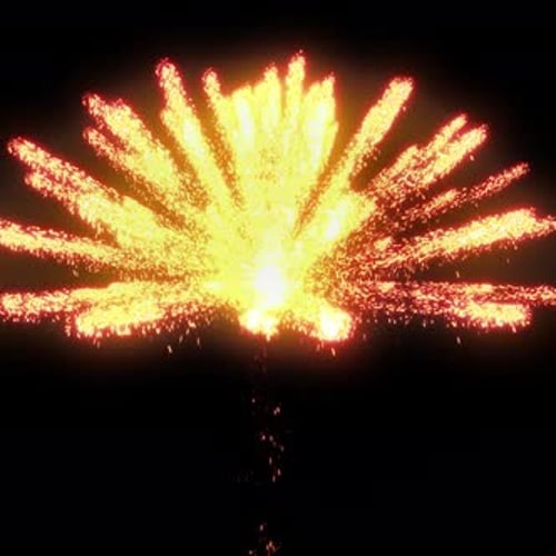Fireworks A24