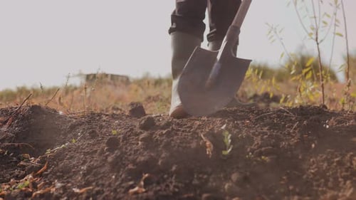 Agricultural Labor Farmer Foot and Shovel in the Rural Field