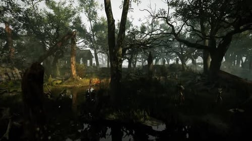 A Forest With Trees and Water