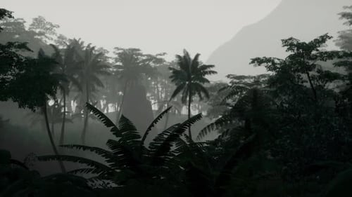Ancient Laurel Forest in National Park