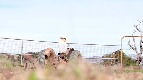 Vintage Tractor Driving Through Rural Grassy Field
