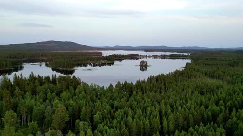 Lakes Encircled With Vast Coniferous Trees In Dalarna, Sweden. Aerial Drone Shot