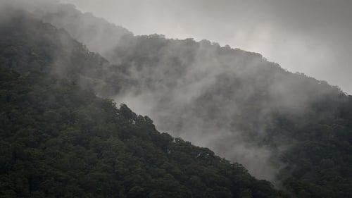 Nebelige Berge über einem wunderschönen majestätischen Tal, in dem sich Wolken bilden, Nahaufnahme.